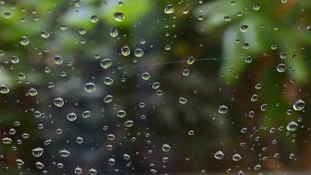 Rainy Window Glass