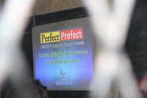 perfectprefect2